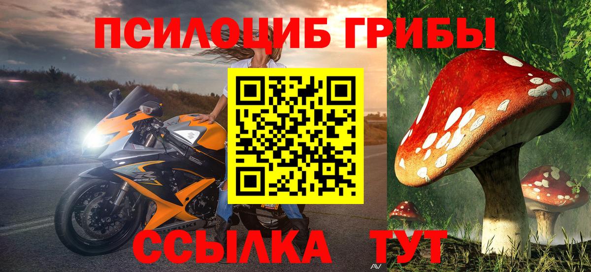 Галлюциногенные грибы мицелий  Вход с VPN  Хабаровск 