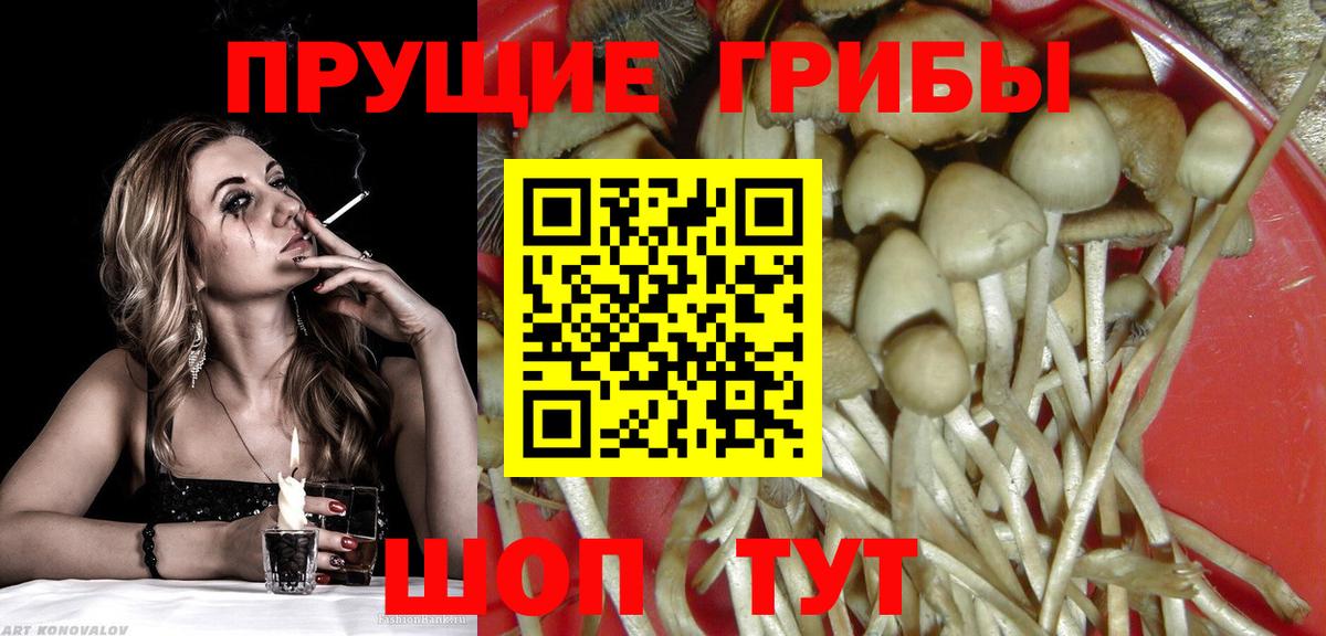 Галлюциногенные грибы MAGIC MUSHROOMS Хабаровск